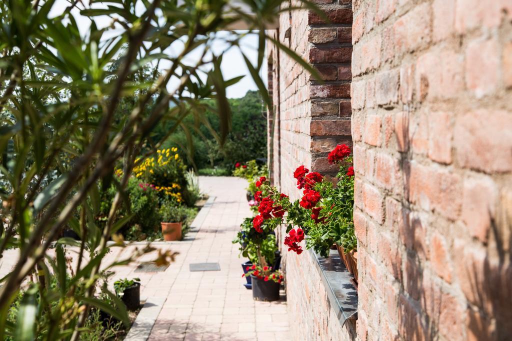 Oeregtoelgy Vendeghaz Villa Szar ภายนอก รูปภาพ