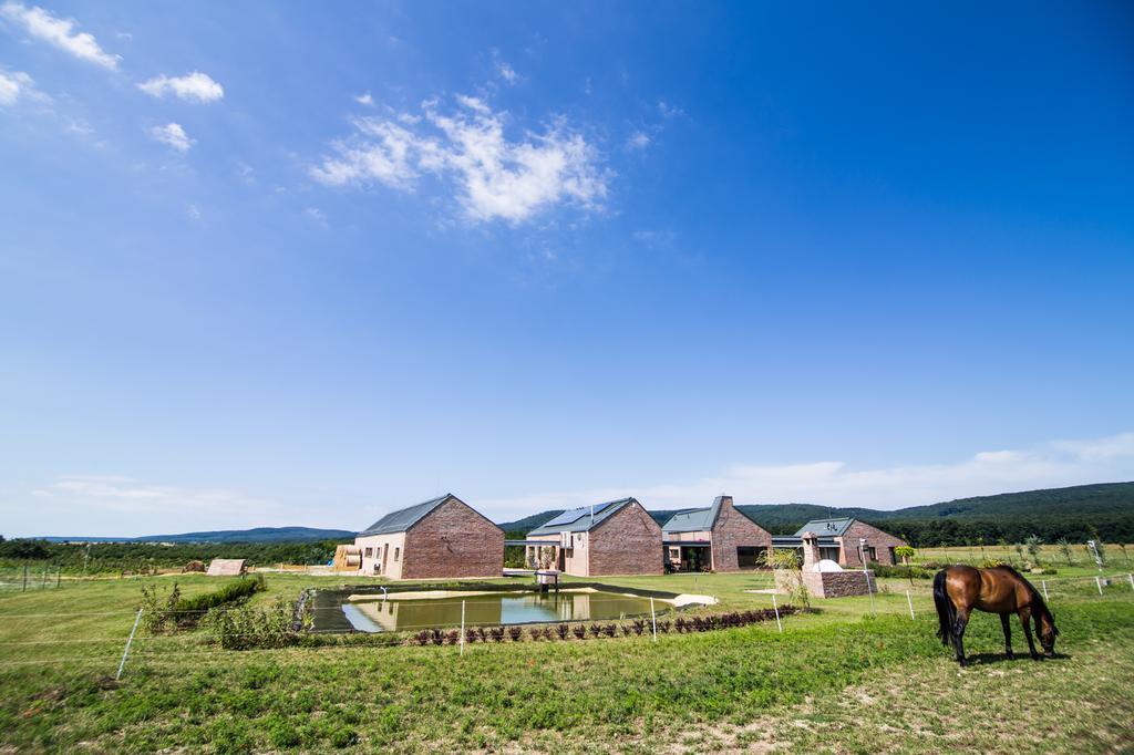 Oeregtoelgy Vendeghaz Villa Szar ภายนอก รูปภาพ