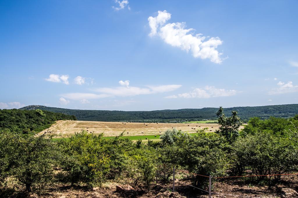 Oeregtoelgy Vendeghaz Villa Szar ภายนอก รูปภาพ