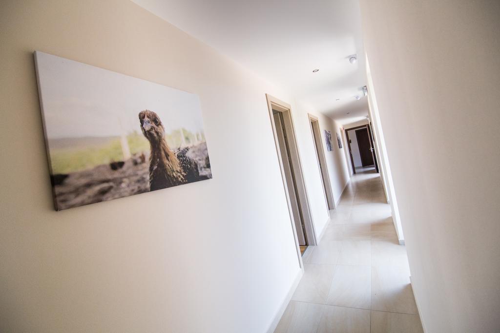 Oeregtoelgy Vendeghaz Villa Szar ภายนอก รูปภาพ
